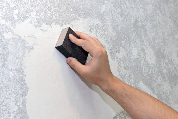 Best Commercial Mold Inspection  in Fallsburg, NY