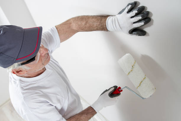 Professional Mold Removal in Fallsburg, NY