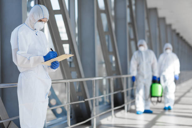 Best Airborne Mold Testing  in Fallsburg, NY
