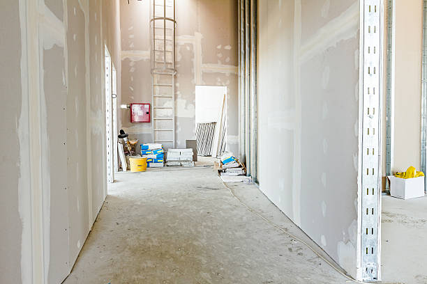 Best Post-Construction Mold Inspection  in Fallsburg, NY