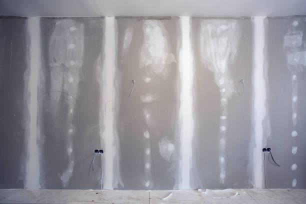 Best Mold Odor Removal Services  in Fallsburg, NY